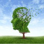 Omega3-Cognitive-Decline