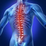 what causes back pain