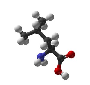 branched chain amino acid