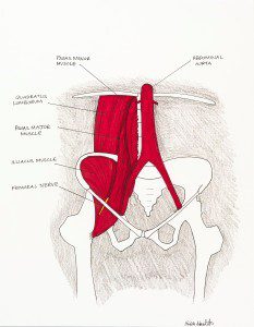 muscles can cause short leg syndrome