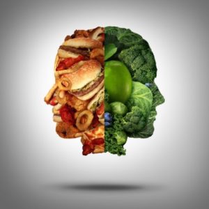 the mind diet