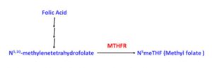 MTHFR Reaction