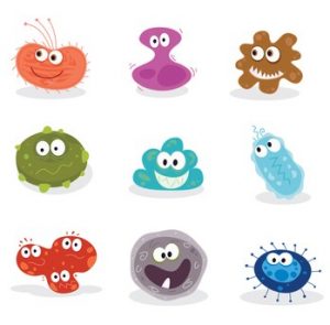 is our microbiome affected by exercise gut bacteria