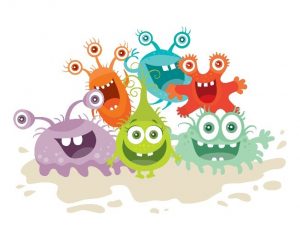 happy gut bacteria