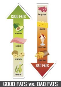 Good Fat vs Bad Fat