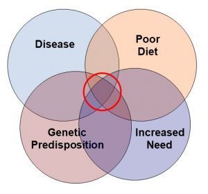 Supplementation Perspective