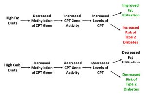 Diet And CPT